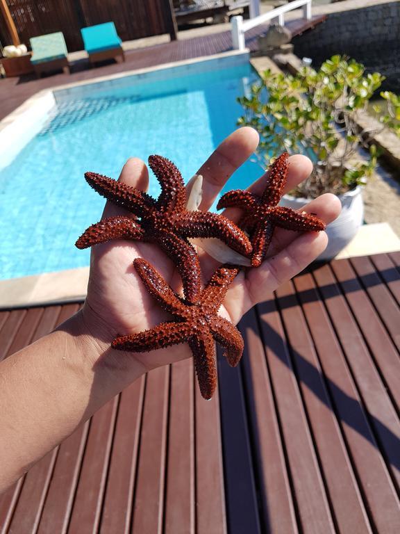 Pousada Costa Do Sape アングラドスレイス エクステリア 写真
